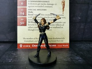 Doomguard Fighter / Rogue with knives female assassin Bloodwar D&D