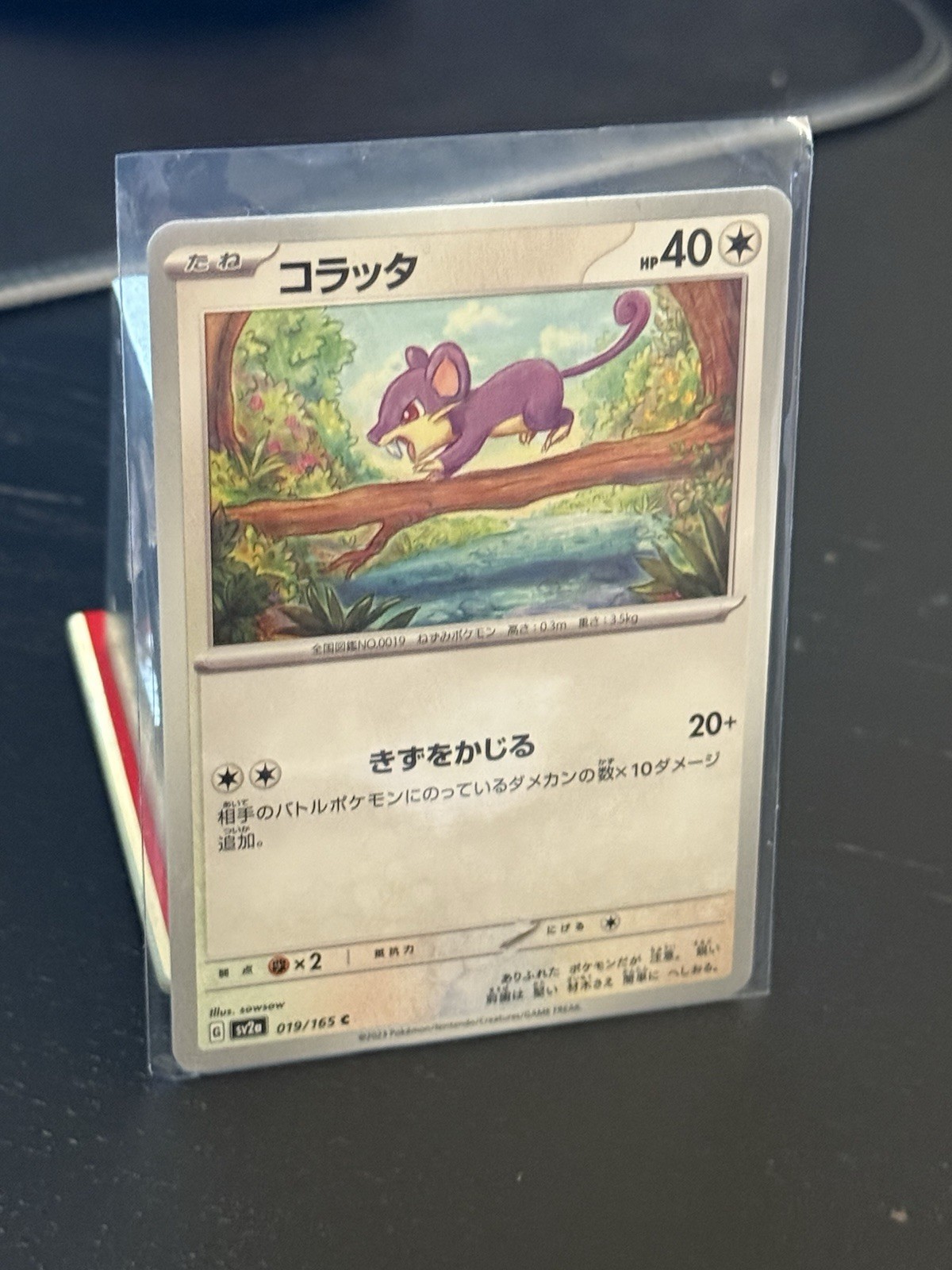 Rattata Pokemon Japanese 019/165 Pokemon Card 151 Master Ball NM US SELLER