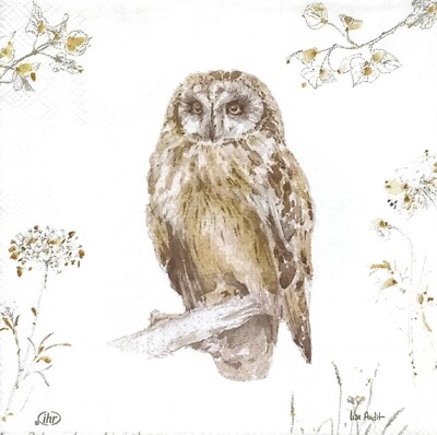 S578# 3 x Single SMALL Paper Napkins For Decoupage Fox Roe Racoon Owl On White