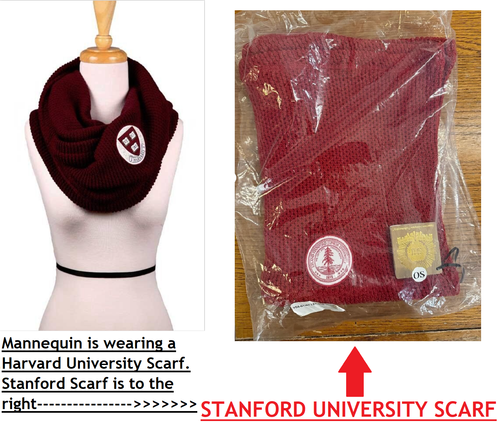 STANFORD UNIVERSITY Infinity Circle Loop Winter Scarf School House College USA - 第 1/4 張圖片