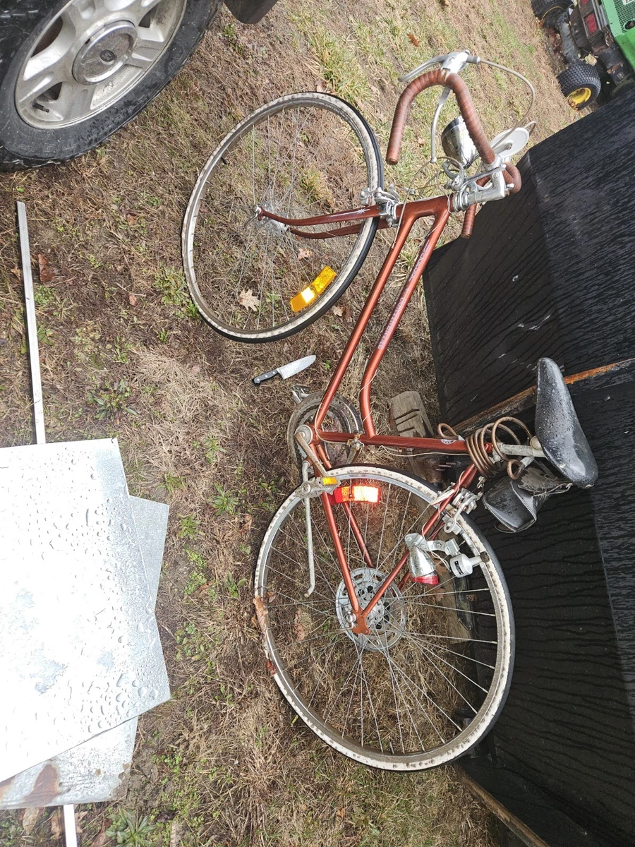 27 in 19 in Frame Vintage Bikes for sale | eBay