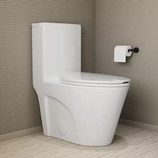 1-Piece 1.1/1.6 GPF Dual Flush Elongated Watersense ADA Toilet in White with Map