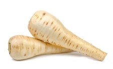 Parsnip Tender and True – 1500 Seeds – Traditional Root Vegetable – JustSeed