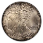 1994 1 oz Silver American Eagle - BU Key Date - Speckled Violet Toning - E2295