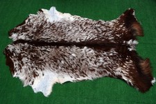 Luxury Goat hide Rug Hair on Area Rug Size 38"x24" Animal Leather Goat Skin G217
