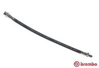 Bremsschlauch Brembo T 61 032 FüR Peugeot Fiat CitroËN Ducato Bus Panorama TDI 1