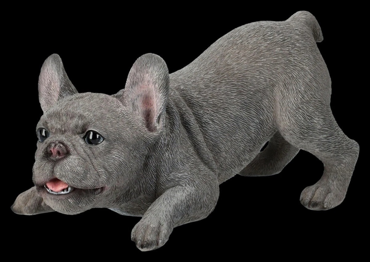 Französische Bulldogge Figur - Welpe will spielen - HotAnt Gartenfigur Deko H 12