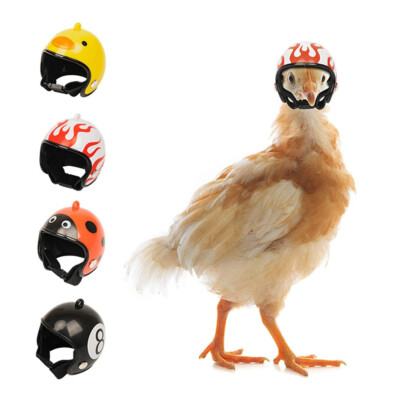 chicken football helmets KAYNO 3pcs Helmets, Funny Hen Helmet, Adjustable Elastic Band,Pet Chicken Accessories, Chicken Safety Hat Used to Prevent Chickens/Bird from Pecking Each Other and to Protect Their Heads. : Pet Bright colors and interesting patterns GoodGoods Chicken Duck Bird Head
