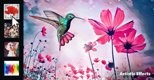 Adobe Photoshop Elements 2025 & Premiere Elements 2025 (Windows/Mac) - Picture 13 of 21