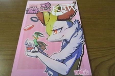Doujinshi POKEMON (A5 68page) KBW Charizard , Lucario , Manyu , Weavile , Kirlia