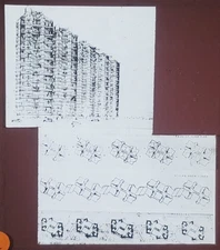 Grouped Apartment Towers, Chicago, Frank Lloyd Wright, Magic Lantern Glass Slide