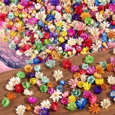 300 PCS Small Dried Flowers for Crafts - Mini 300Pcs, Colorful