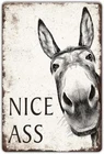 ART Funny Bathroom Signs Decor - Humorous Nice Ass, Vintage Metal Cute Donk