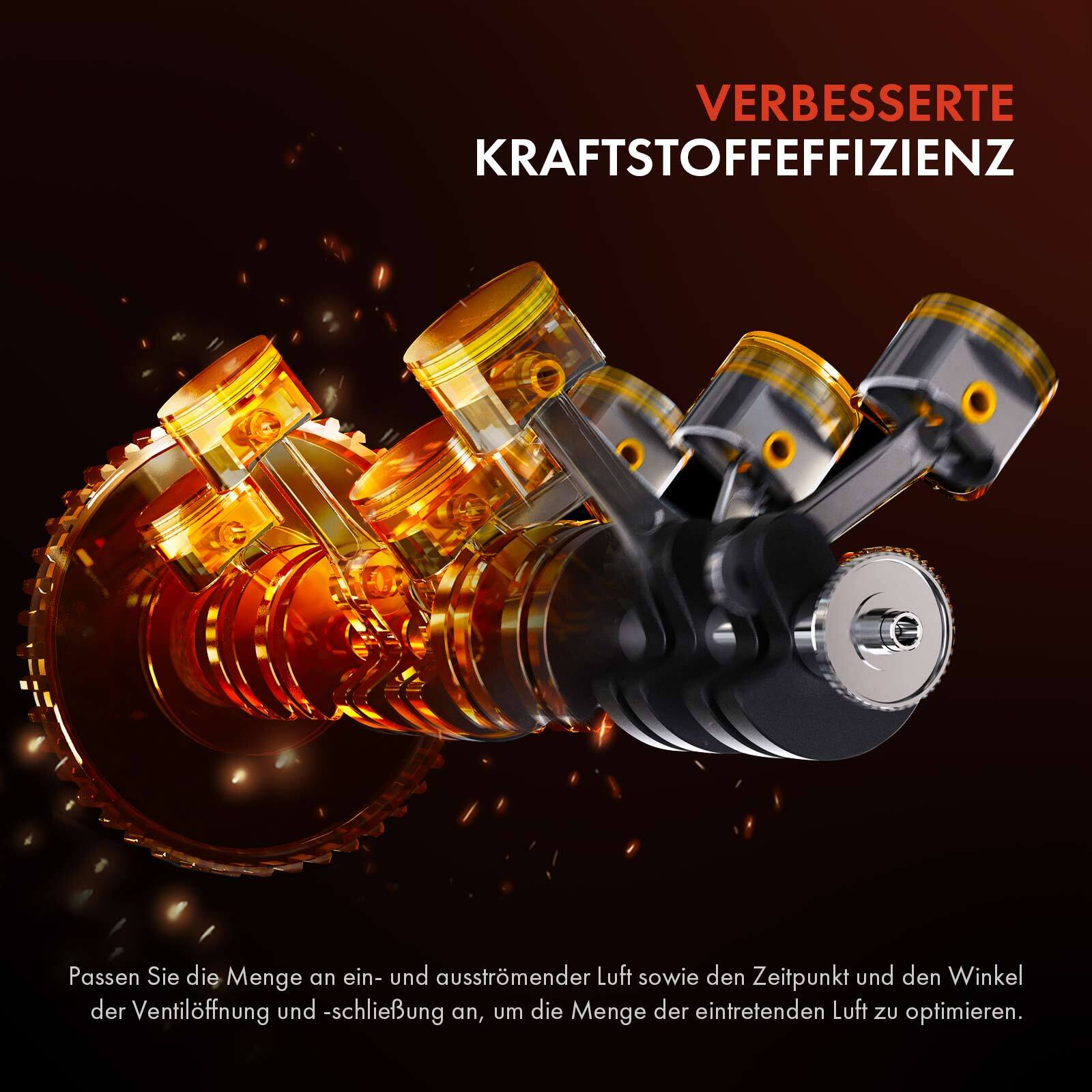 Bild 4 von 8