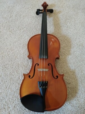 4/4 Violin, Joseph Jan Dvorak, Strunal, Czech Republic, Case & Accessories