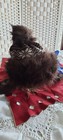 Bild 2 von 10