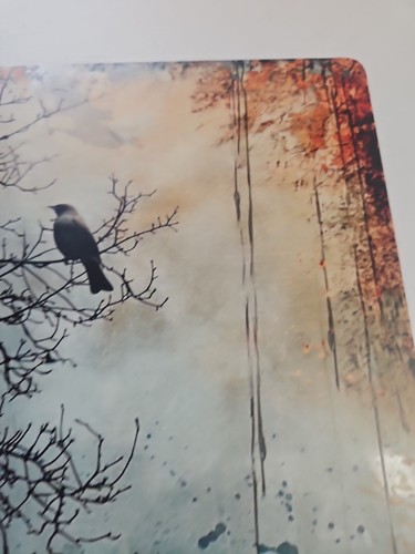Black Bird Trees Rustic-looking Metal Sign, 8x12 - Picture 3 of 8