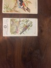 19th Century Early Duke Cigarette And Arm & Hammer Tabacco Cards — photo 6