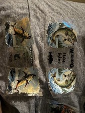 Self-Adhesive Calendar Color Sign Cut Vinyl PVC Like Oracal 651 Film Roll 5-Year