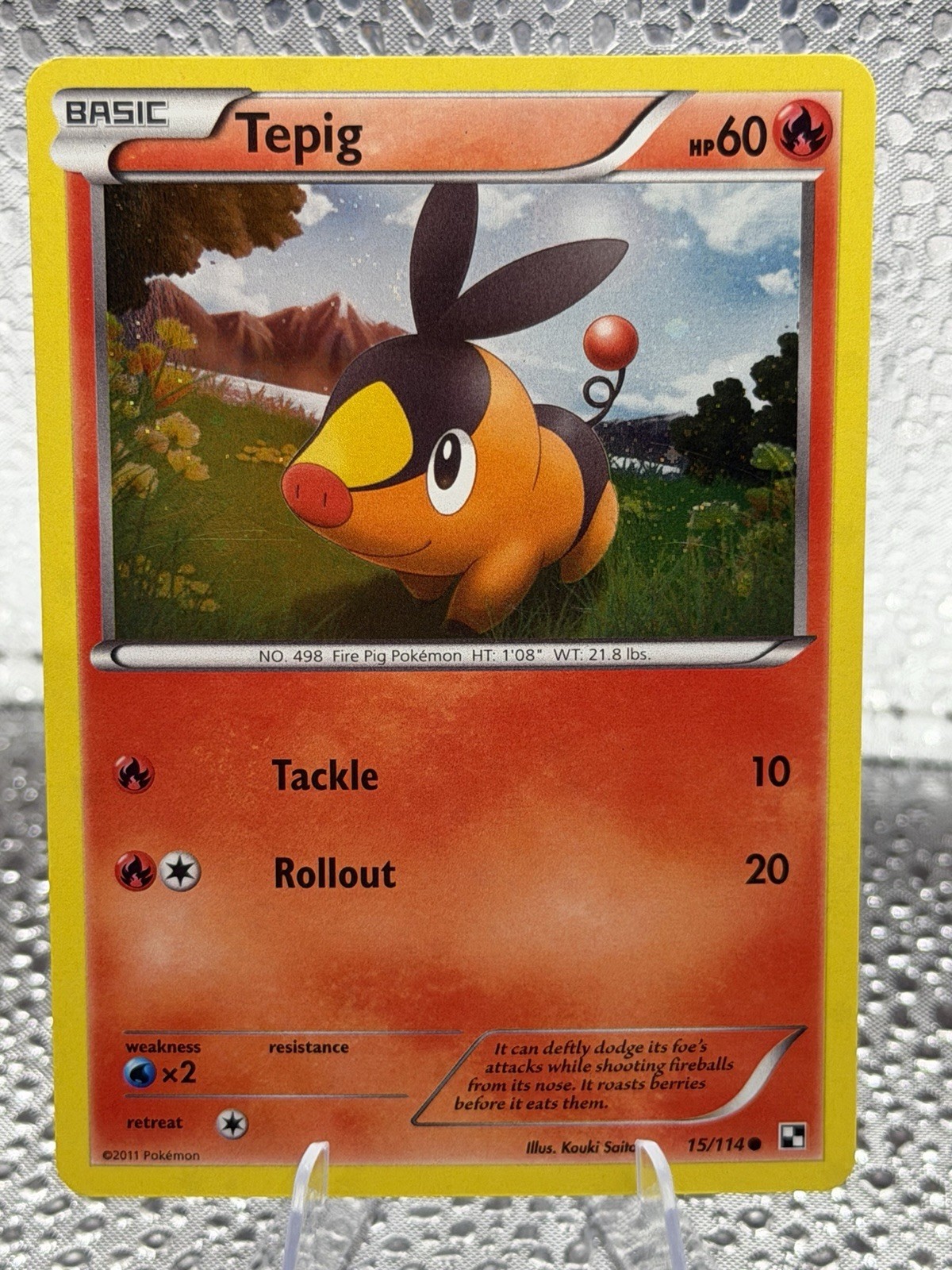 Pokémon TCG Tepig Black & White 15/114 Regular Common