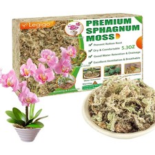 Sphagnum Moos Blumenerde 150g Sukkulenten Orchideen Moos Fleischt 80cm