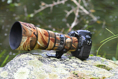 Sample Nikon D500 New Model Nikon D500 Nikon D3500 Wildlife