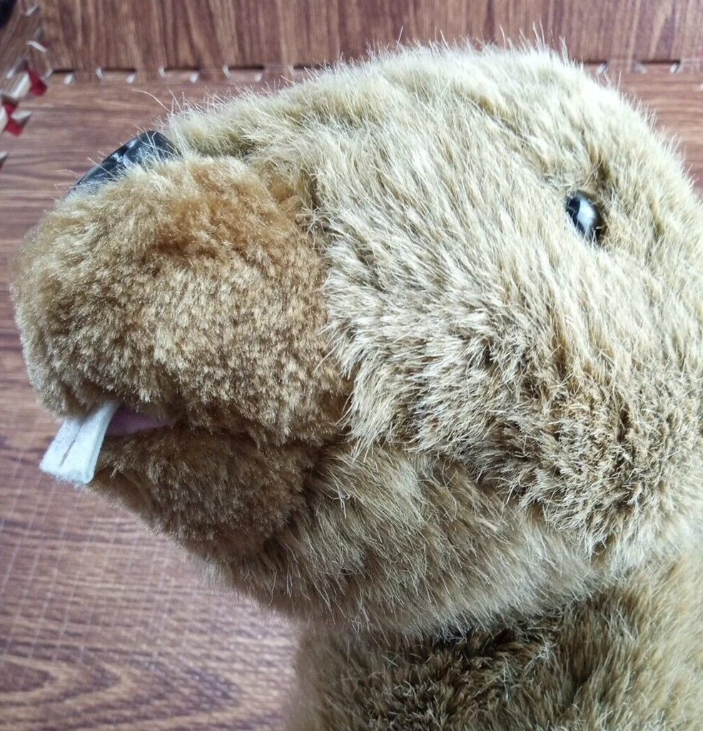 Picture 8 of 8