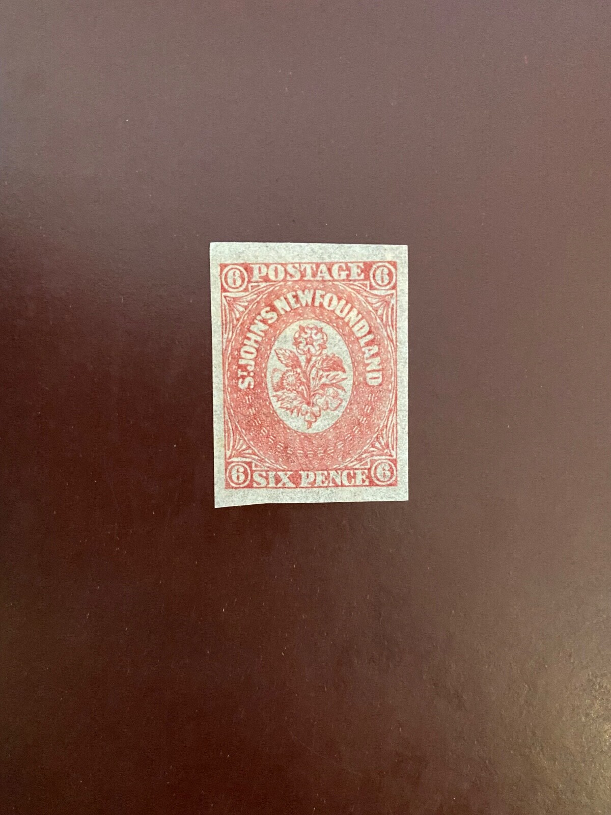 Foto 1 di 2