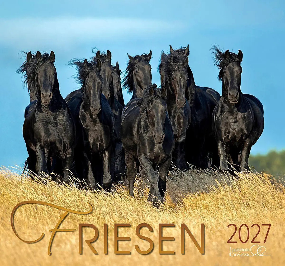 Friesen 2027 | Friesen Pferde | Gabriele Boiselle | Kalender | 13 S. | Deutsch