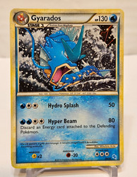 Gyarados 30/30 HGSS Trainer Kit: Gyarados & Raichu Holo Rare