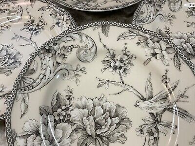 222 Fifth Salad Plates Adelaide Antique White Set Of 4 Bird, Flowers. 8.5  in New