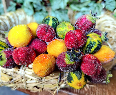 48 x Früchte Beeren Fake Eis Gefrostet Draht Dekoration Kunstobst Obst Dekoobst
