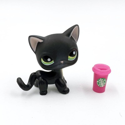 lps black shorthair