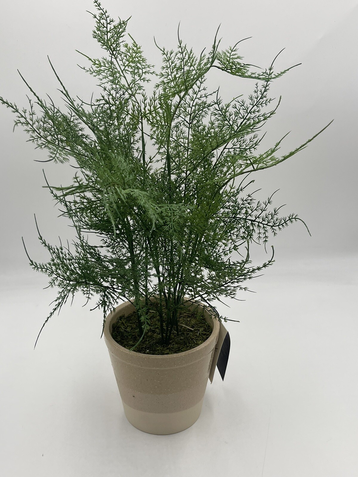 Hearth and Hand with Magnolia Artificial Faux Potted Plants Asparagus