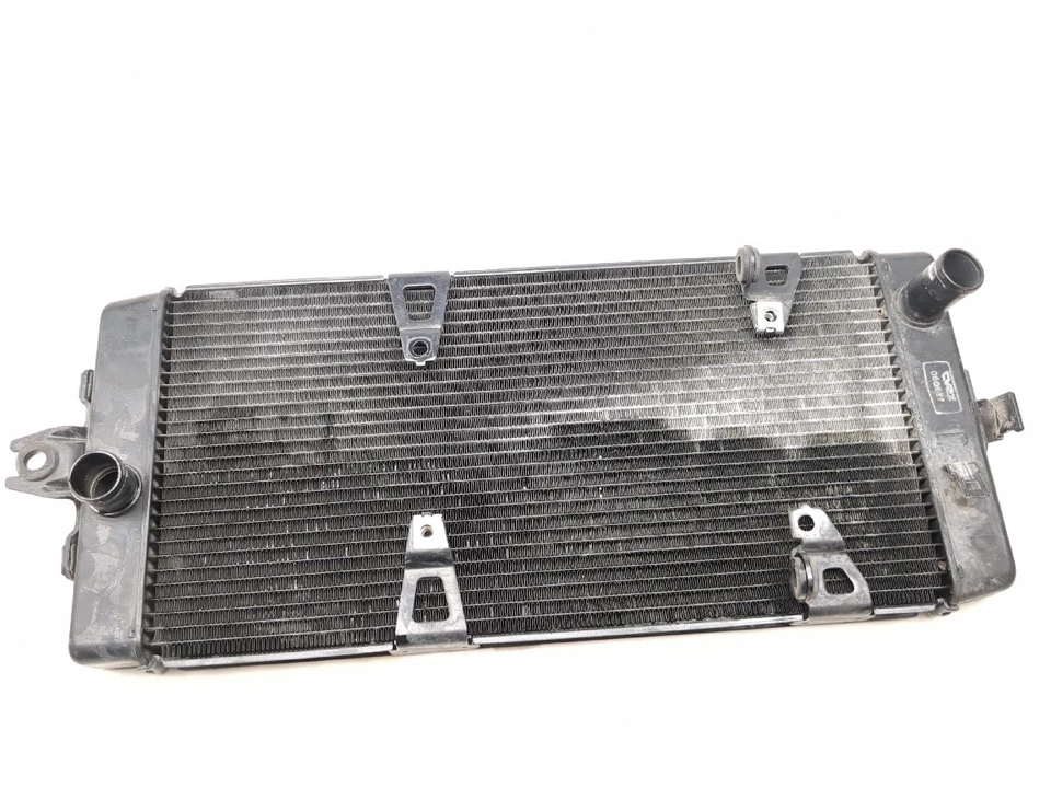 09-17 Triumph Thunderbird 1600 Motor Radiador 225090 Foto 4 de 4