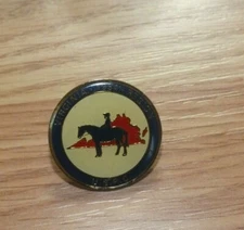 Vintage Virginia 1954 Region USPC Collectible Enamel Lapel Pin