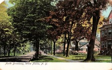 White Plains NY North Broadway Mansions Early 1900s New York Vtg Postcard F19