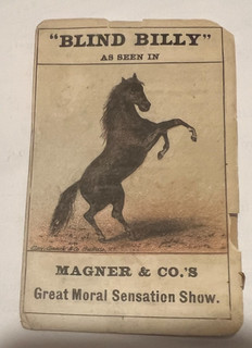 1800s Magner & Co.'s Show the horse Blind Billy trade card