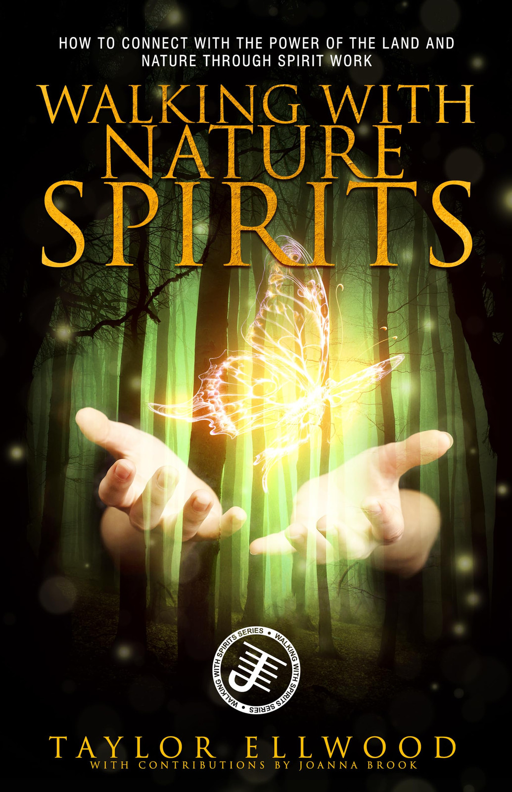 Taylor Ellwood Walking with Nature Spirits (Tascabile) Walking with Spirits