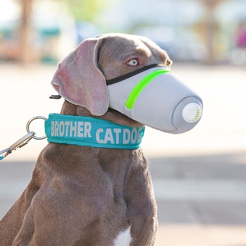 Anti Staub Hund Antibeschlag Dunst Mundmasken Hundegesichtsmaske für kleine bis große Hunde
