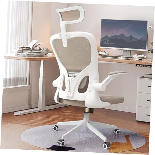 Adjustable Ergonomic Office Chair – Lumbar Support, 2D Armrests, Heavy Khaki