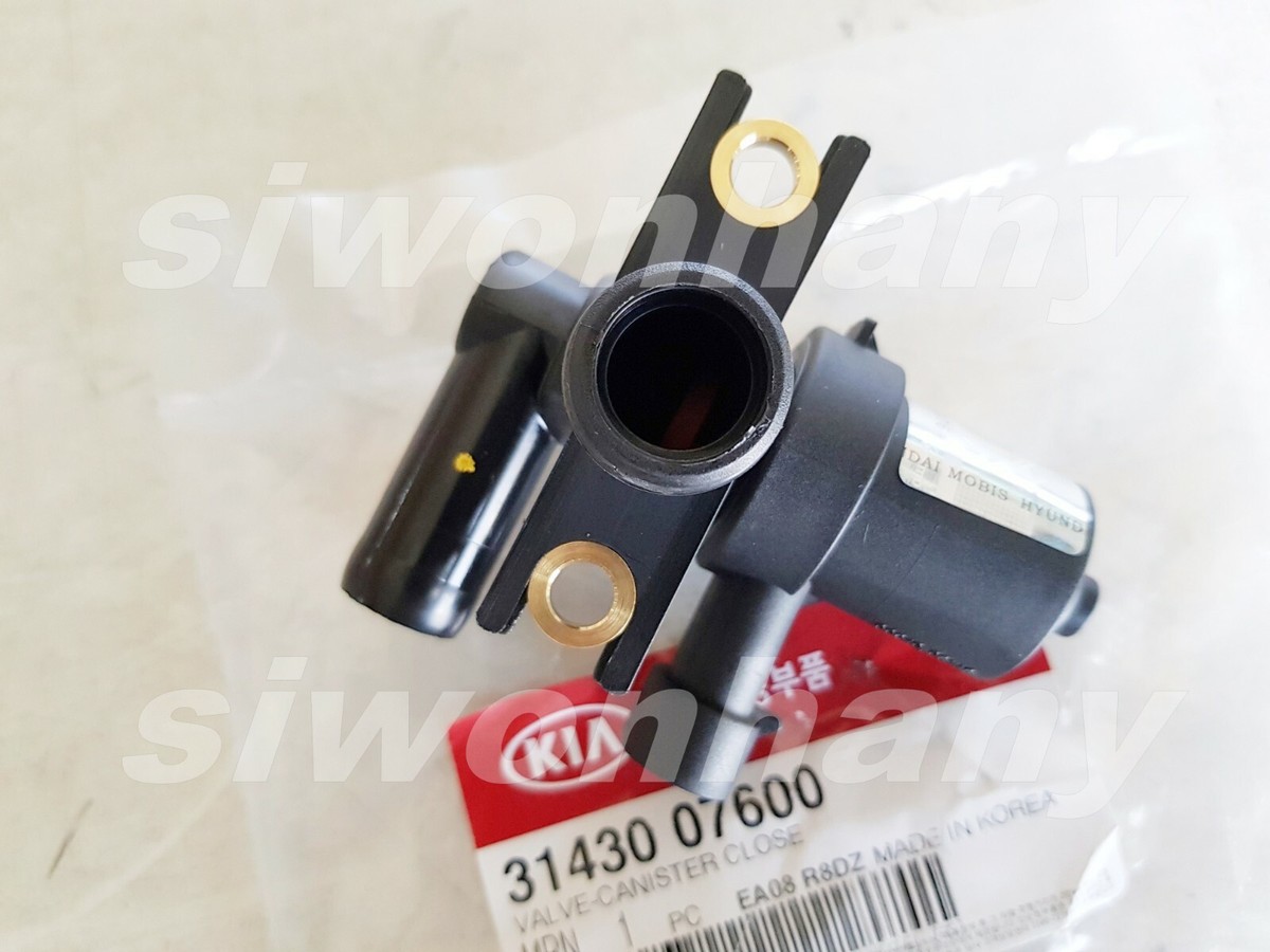 SENHE Modo de actuador para KIA Mohave Borrego 2008-2013 apto para Sorento 2006-2009 OEM 972223E060 Motor de válvula de control