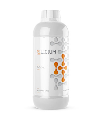 SiLicium Mono Silicic Acid Enhances Nutrient Absorption 1 Liter by Silicium
