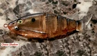 KickTail Floater Shad Choco Shadow Fishing Fresh Or Salt Water Angling