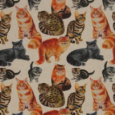 Öko-Tex Canvasbaumwolle 50 x 140 cm Katzen - Bild 1 von 3