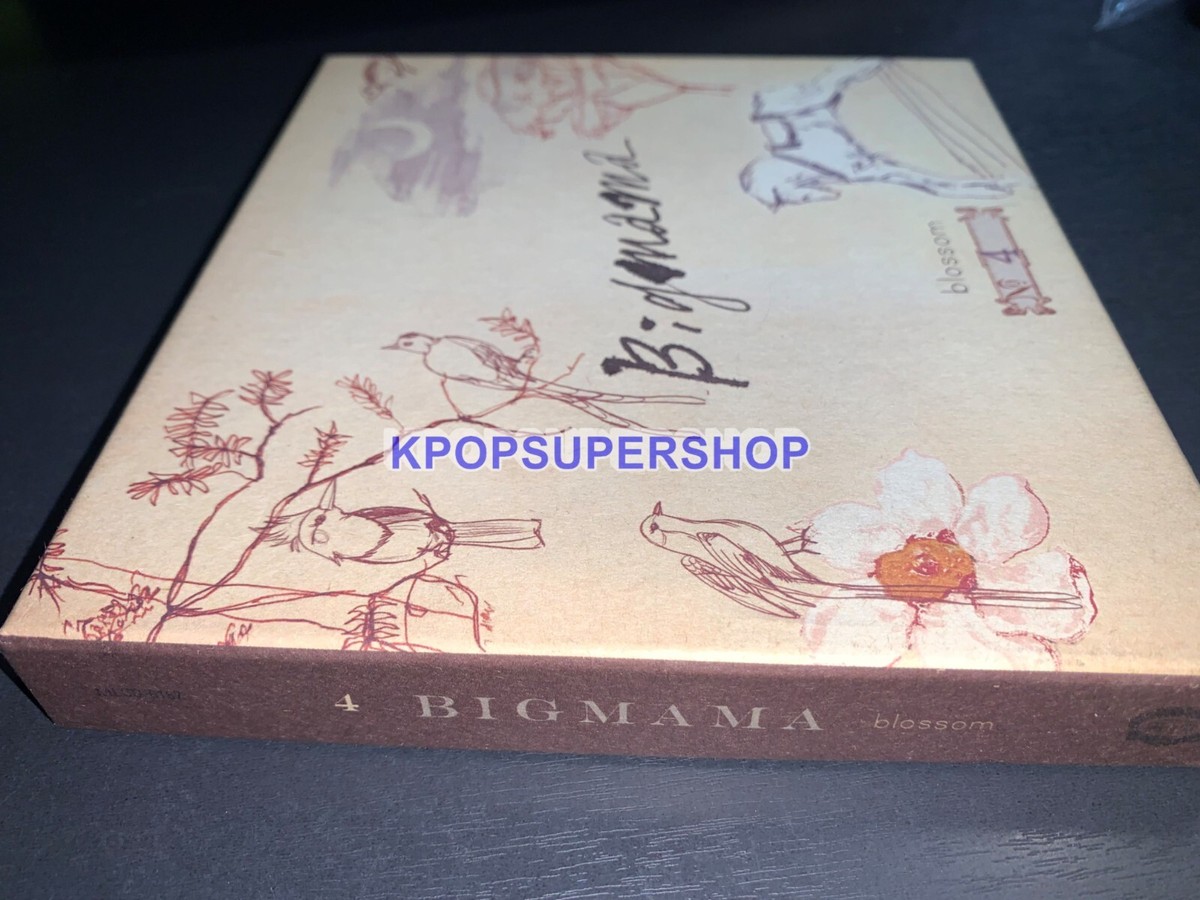 Big Mama 4th Album Blossom CD Photobook Great OOP Rare Box Fourth