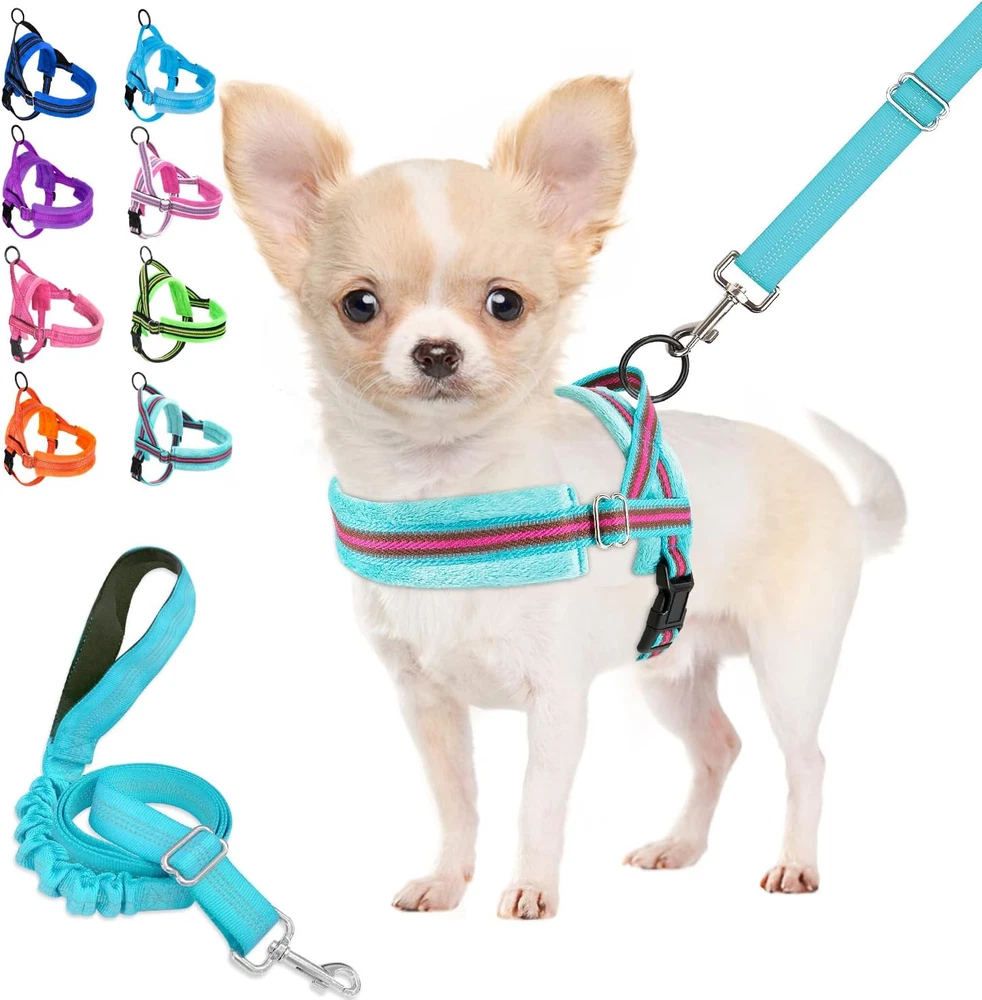 Dog Harness and Leash Set, Soft Padded Small Dog Harness, Neck & Chest Adjustabl