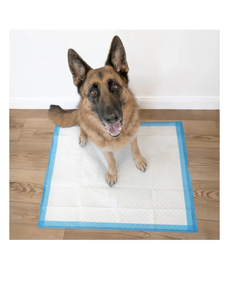 Almofadas para xixi de cachorros Wee-Wee Superior Performance X-Large - Imagem 4 de 4