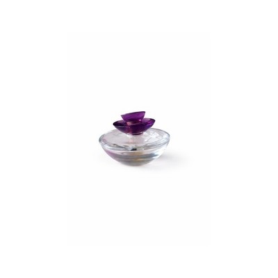 Empty Guerlain Insolence Perfume Bottle 100ml Purple Glass Collectible Vanity