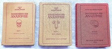 Voss und Herrlinger Taschenbuch der Anatomie ...